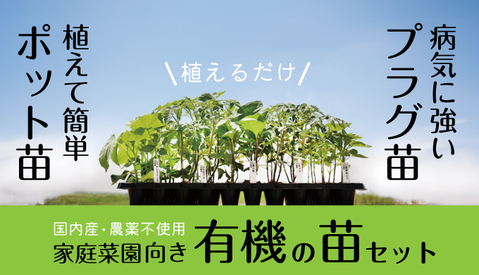 有機栽培と自然農法に向いている有機の苗販売中 ポット苗 プラグ苗 接ぎ木 化学肥料や農薬を使っていない自然農法センターの苗です 有機農業・自然栽培・無肥料栽培